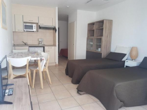 Studio climatisé proche plage et commerces avec WiFi - FR-1-466A-31